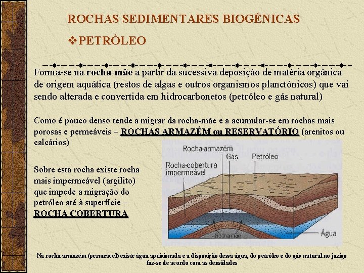 ROCHAS SEDIMENTARES BIOGÉNICAS v. PETRÓLEO Forma-se na rocha-mãe a partir da sucessiva deposição de