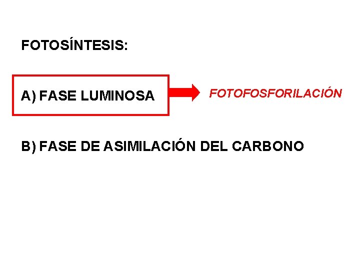 FOTOSÍNTESIS: A) FASE LUMINOSA FOTOFOSFORILACIÓN B) FASE DE ASIMILACIÓN DEL CARBONO 