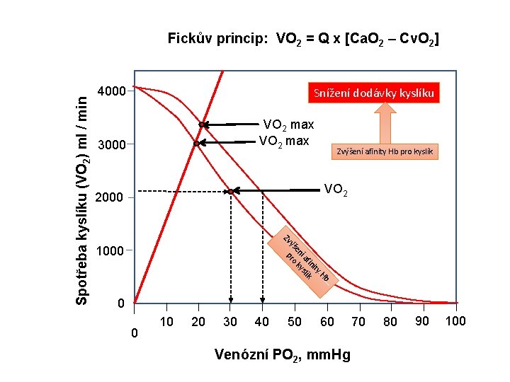 4000 Snížení dodávky kyslíku VO 2 max 3000 Zvýšení afinity Hb pro kyslík VO