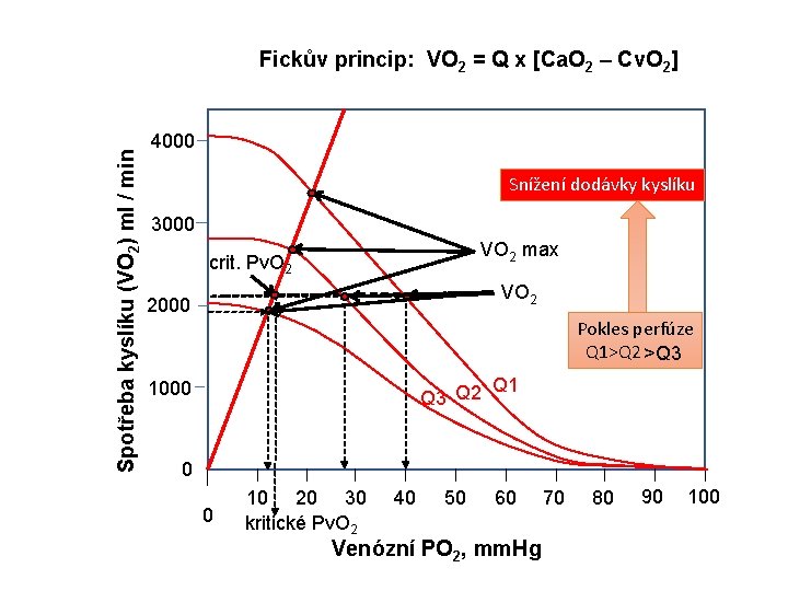 Spotřeba kyslíku (VO 2) ml / min Fickův princip: VO 2 = Q x