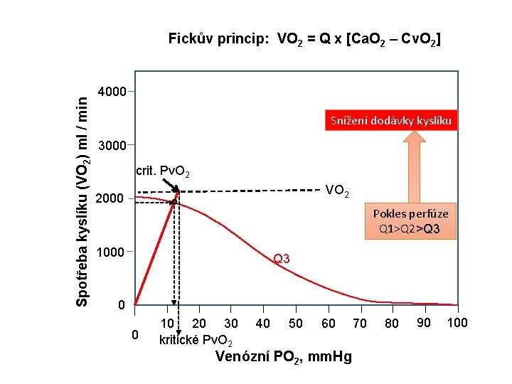 Spotřeba kyslíku (VO 2) ml / min Fickův princip: VO 2 = Q x