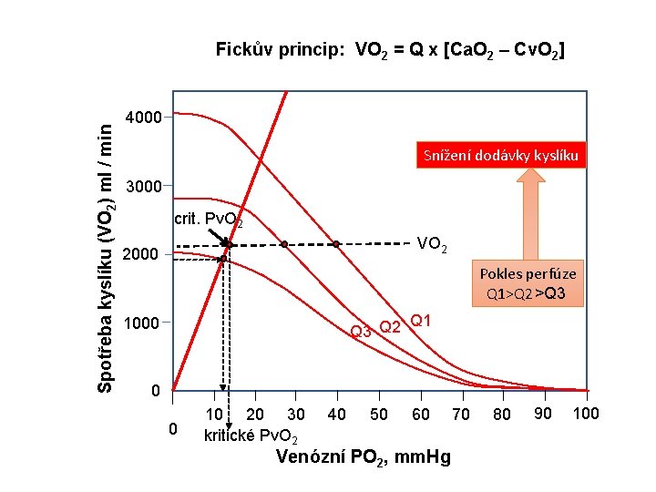 Spotřeba kyslíku (VO 2) ml / min Fickův princip: VO 2 = Q x