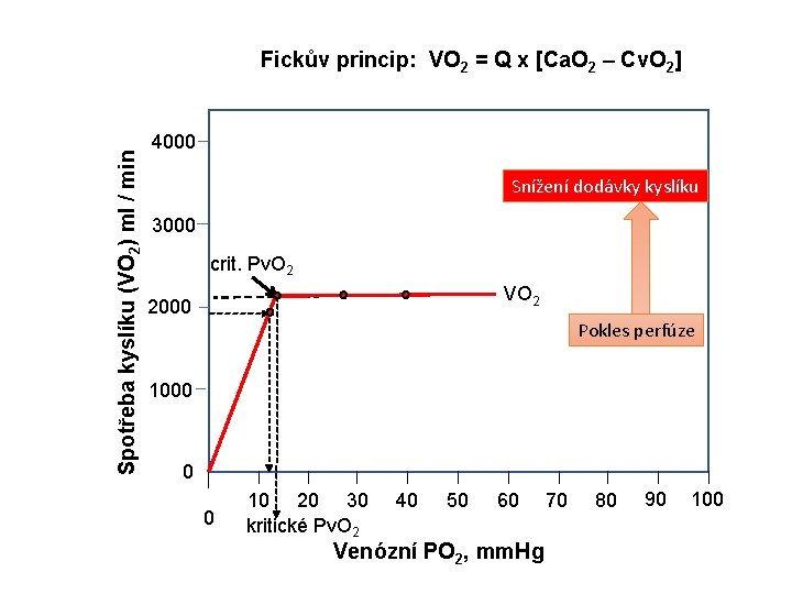 Spotřeba kyslíku (VO 2) ml / min Fickův princip: VO 2 = Q x