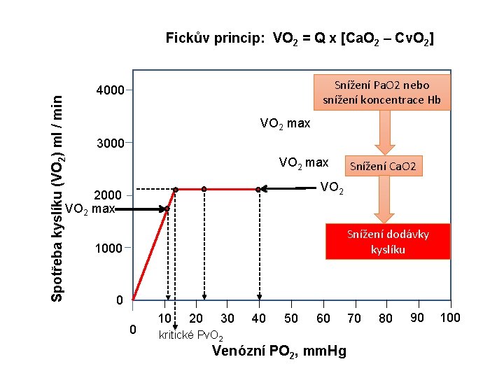 Spotřeba kyslíku (VO 2) ml / min Fickův princip: VO 2 = Q x