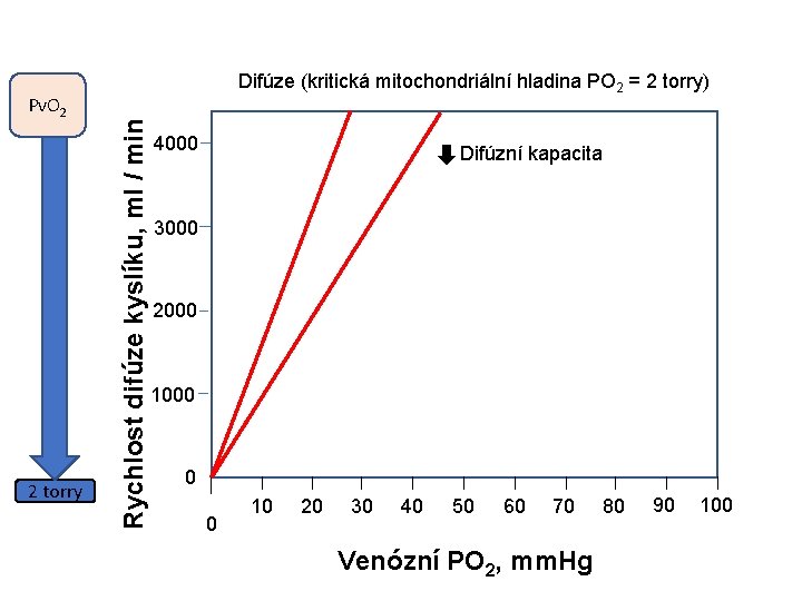 2 torry Rychlost difúze kyslíku, ml / min Pv. O 2 Difúze (kritická mitochondriální