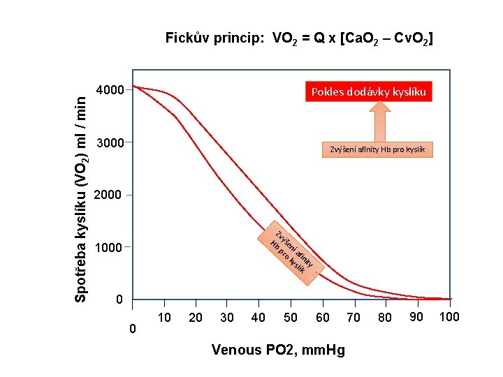 Spotřeba kyslíku (VO 2) ml / min Fickův princip: VO 2 = Q x