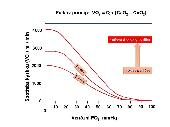 4000 Snížení dodávky kyslíku 3000 2000 rfú pe Pokles perfúze ze Spotřeba kyslíku (VO