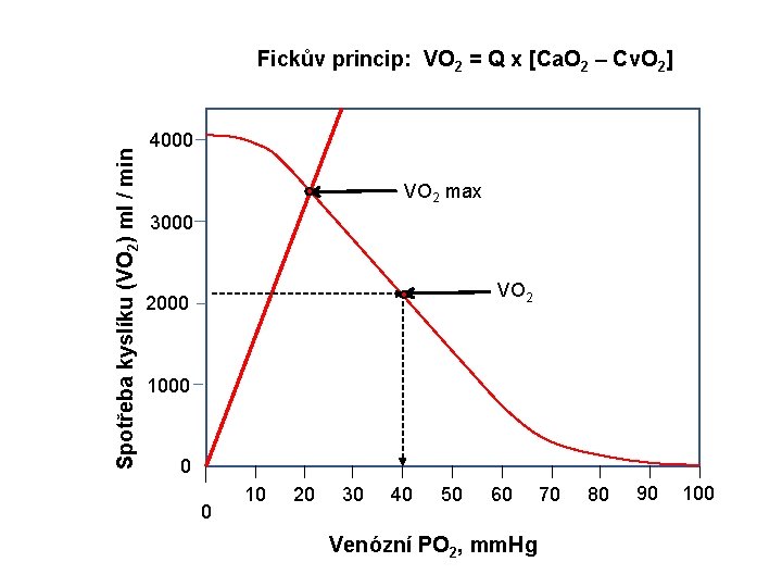 Spotřeba kyslíku (VO 2) ml / min Fickův princip: VO 2 = Q x