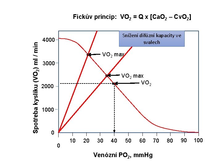 Spotřeba kyslíku (VO 2) ml / min Fickův princip: VO 2 = Q x