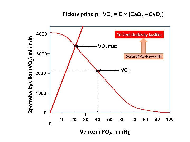 Spotřeba kyslíku (VO 2) ml / min Fickův princip: VO 2 = Q x