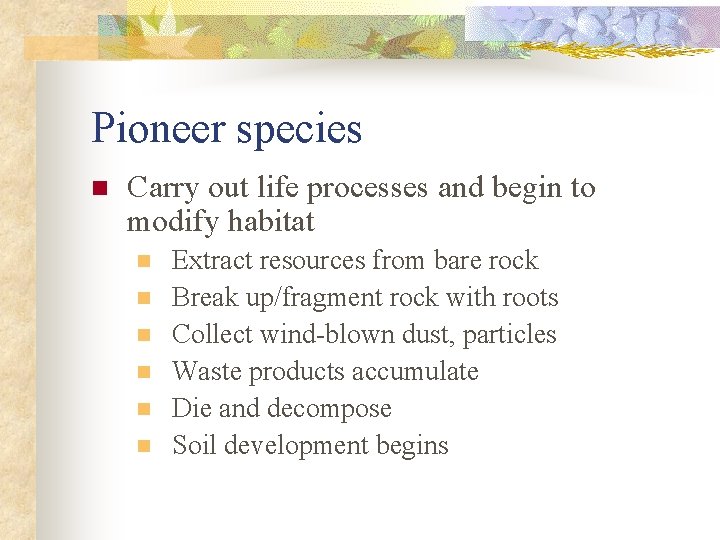 Pioneer species n Carry out life processes and begin to modify habitat n n