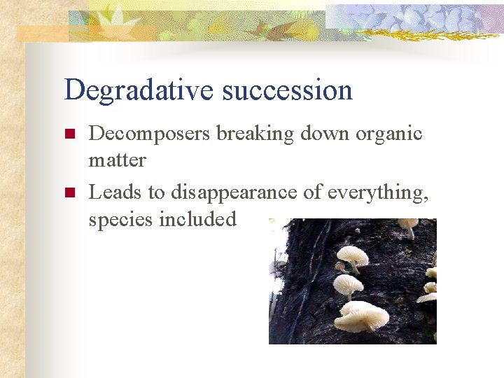Degradative succession n n Decomposers breaking down organic matter Leads to disappearance of everything,