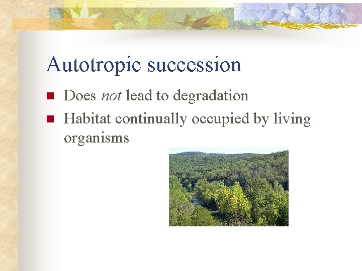 Autotropic succession n n Does not lead to degradation Habitat continually occupied by living