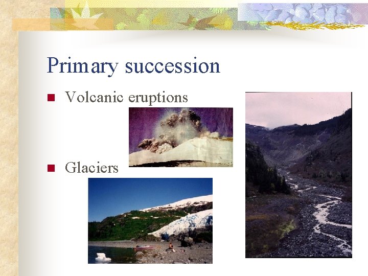 Primary succession n Volcanic eruptions n Glaciers 