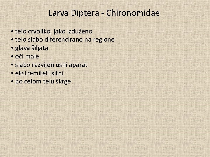 Larva Diptera - Chironomidae • telo crvoliko, jako izduženo • telo slabo diferencirano na