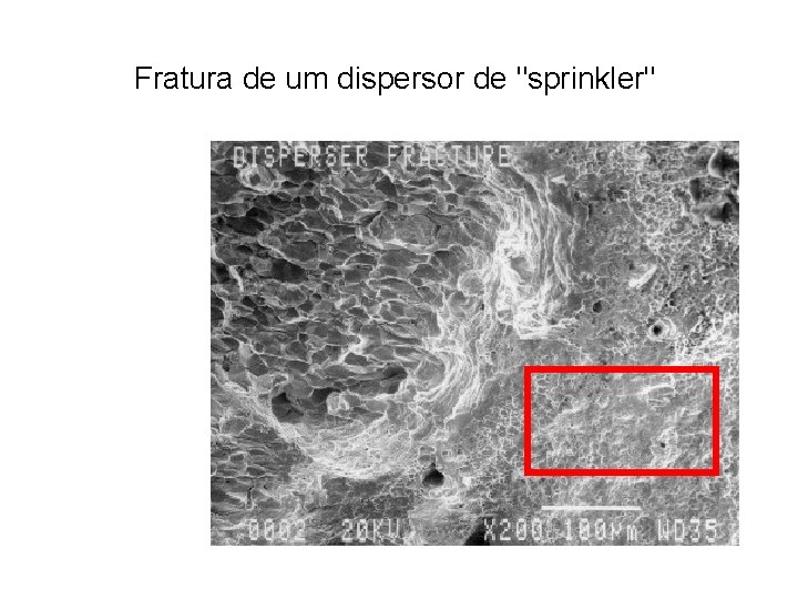 Fratura de um dispersor de "sprinkler" 