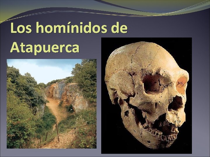 Los homínidos de Atapuerca 