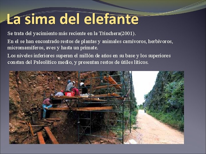 La sima del elefante Se trata del yacimiento más reciente en la Trinchera(2001). En