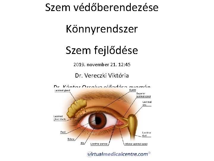 Szem védőberendezése Könnyrendszer Szem fejlődése 2019. november 21. 12: 45 Dr. Vereczki Viktória Dr.