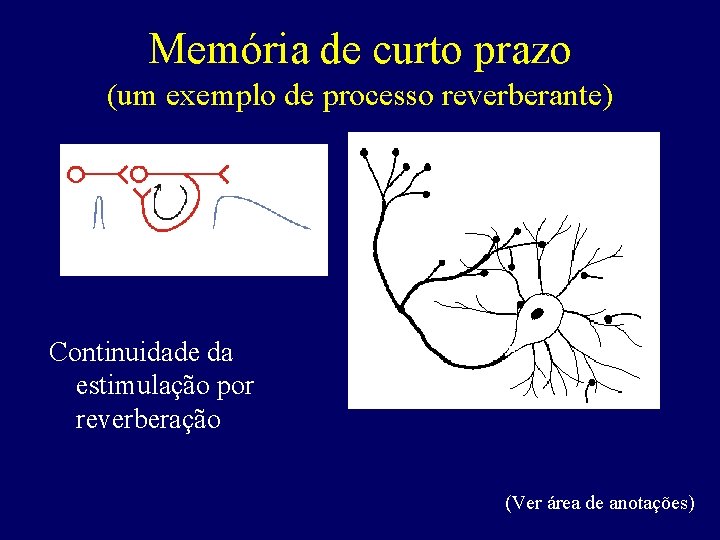 Memória de curto prazo (um exemplo de processo reverberante) Continuidade da estimulação por reverberação