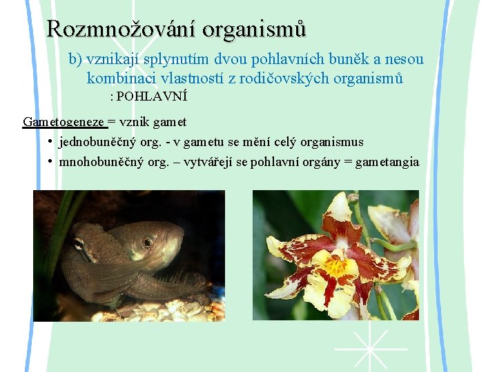 Rozmnožování organismů b) vznikají splynutím dvou pohlavních buněk a nesou kombinaci vlastností z rodičovských