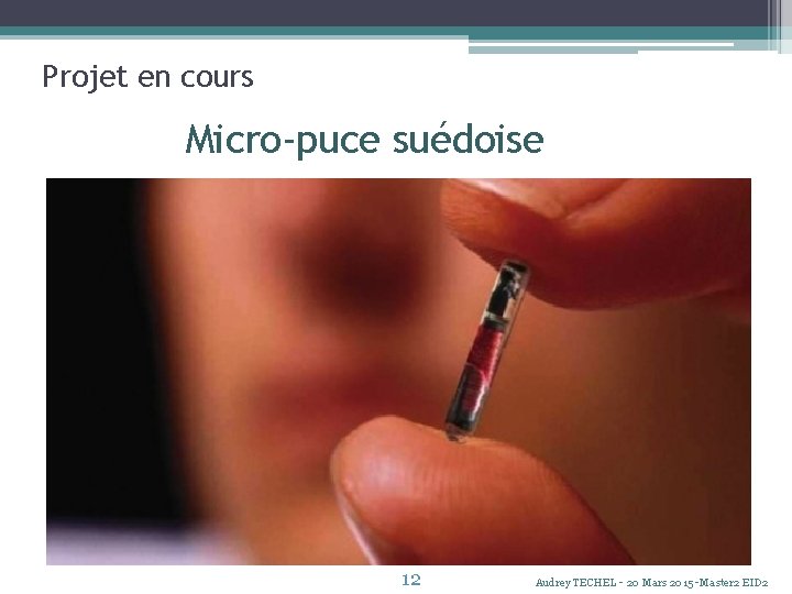 Projet en cours Micro-puce suédoise 12 Audrey TECHEL - 20 Mars 2015 -Master 2 Projet en cours Micro-puce suédoise 12 Audrey TECHEL - 20 Mars 2015 -Master 2
