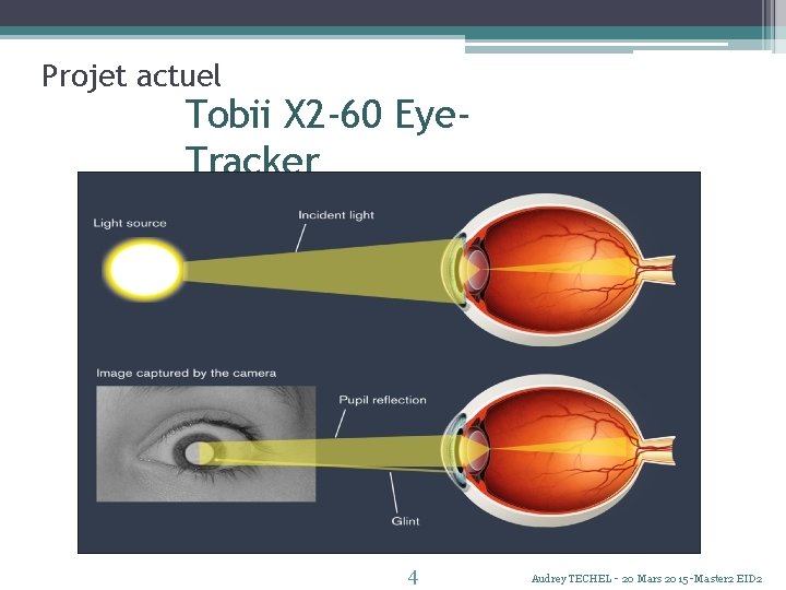 Projet actuel Tobii X 2 -60 Eye. Tracker 4 Audrey TECHEL - 20 Mars