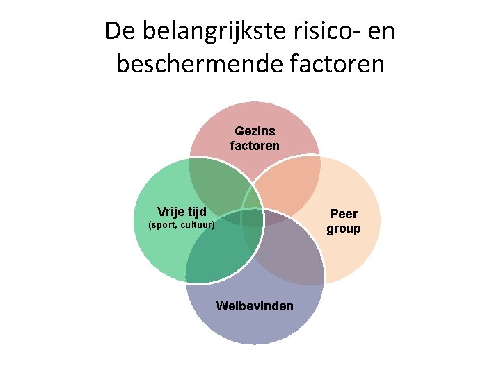 De belangrijkste risico- en beschermende factoren Gezins factoren Vrije tijd Peer group (sport, cultuur)