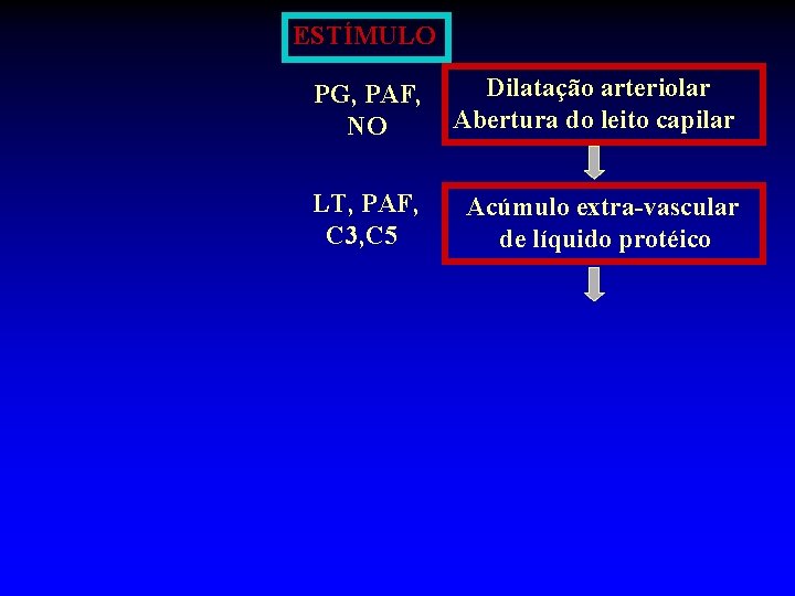 ESTÍMULO PG, PAF, NO Dilatação arteriolar Abertura do leito capilar LT, PAF, C 3,