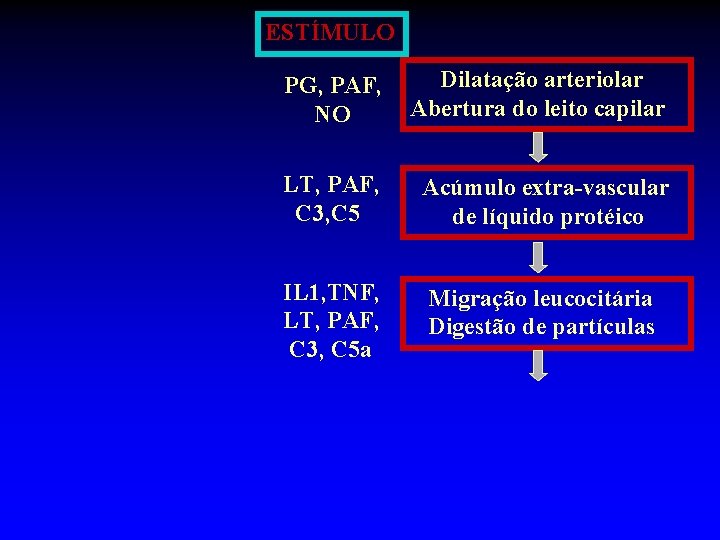 ESTÍMULO PG, PAF, NO Dilatação arteriolar Abertura do leito capilar LT, PAF, C 3,