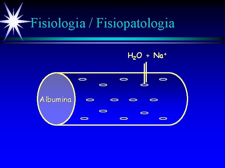 Fisiologia / Fisiopatologia H 2 O + Na+ Albumina 