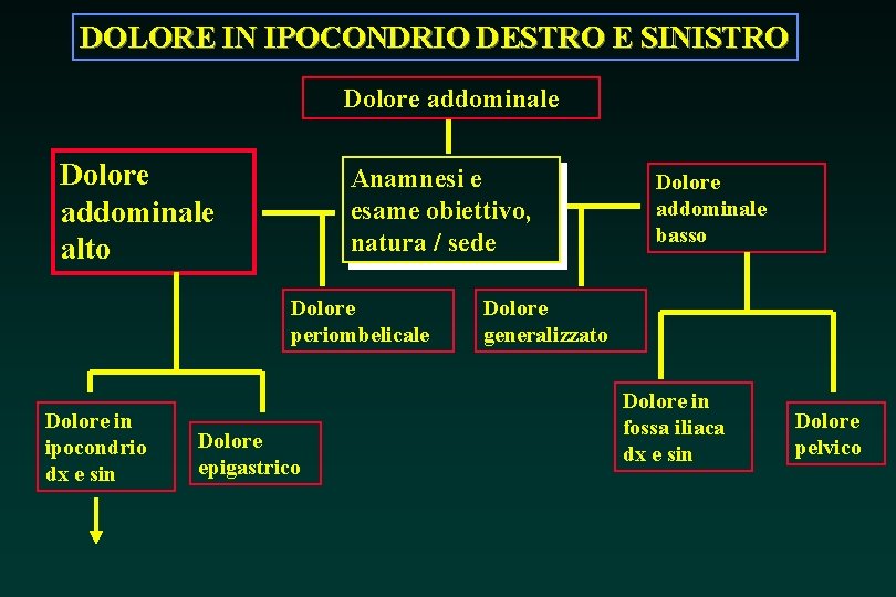 DOLORE IN IPOCONDRIO DESTRO E SINISTRO Dolore addominale alto Anamnesi e esame obiettivo, natura