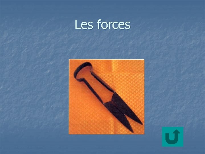 Les forces 