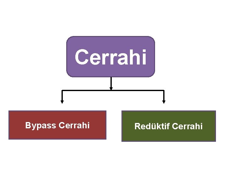 Cerrahi Bypass Cerrahi Redüktif Cerrahi 