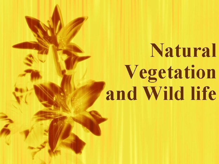 Natural Vegetation and Wild life 