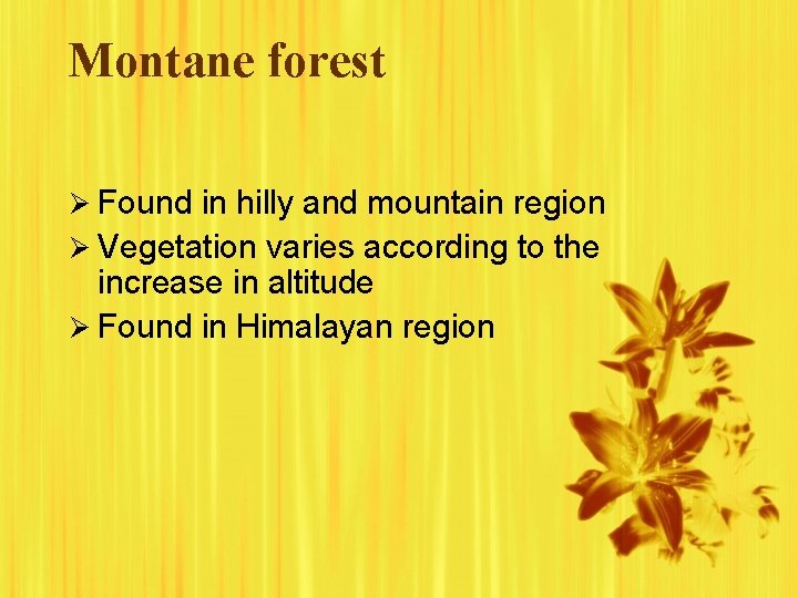 Montane forest Ø Found in hilly and mountain region Ø Vegetation varies according to