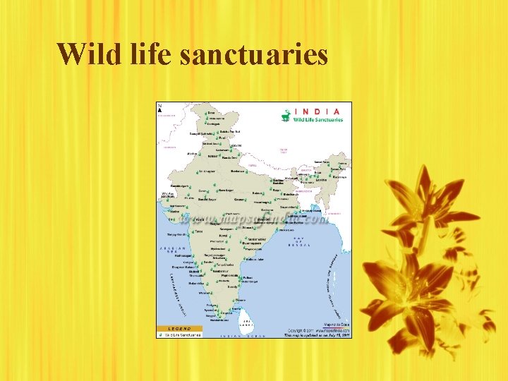 Wild life sanctuaries 