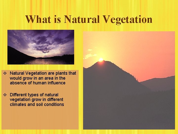 What is Natural Vegetation v Natural Vegetation are plants that would grow in an