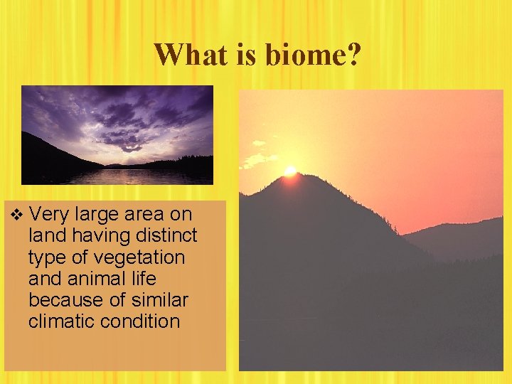 What is biome? v Very large area on land having distinct type of vegetation What is biome? v Very large area on land having distinct type of vegetation
