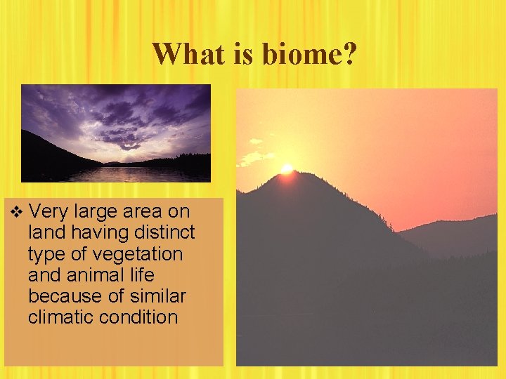 What is biome? v Very large area on land having distinct type of vegetation