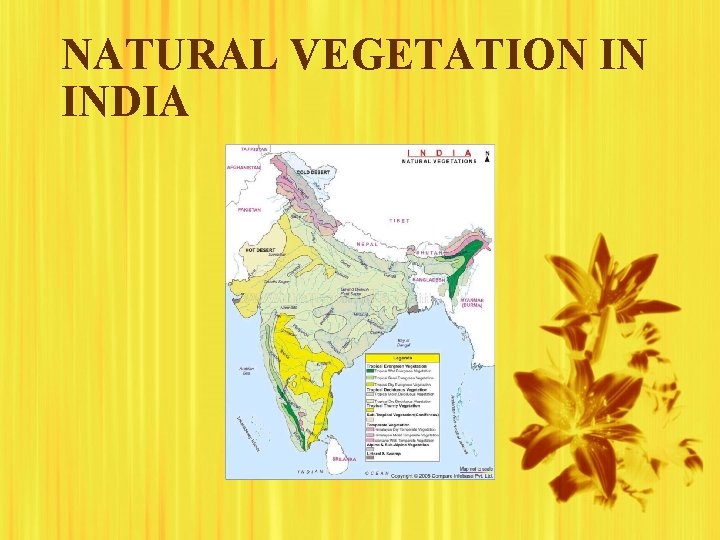 NATURAL VEGETATION IN INDIA 