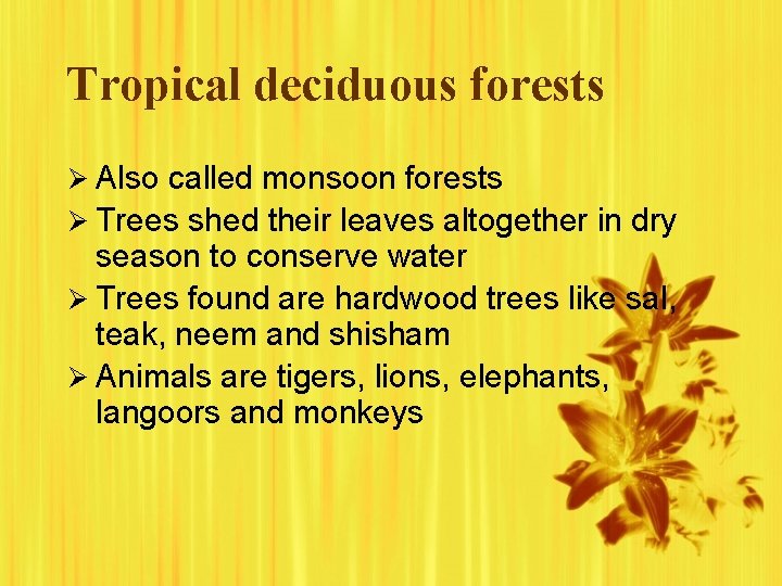 Tropical deciduous forests Ø Also called monsoon forests Ø Trees shed their leaves altogether