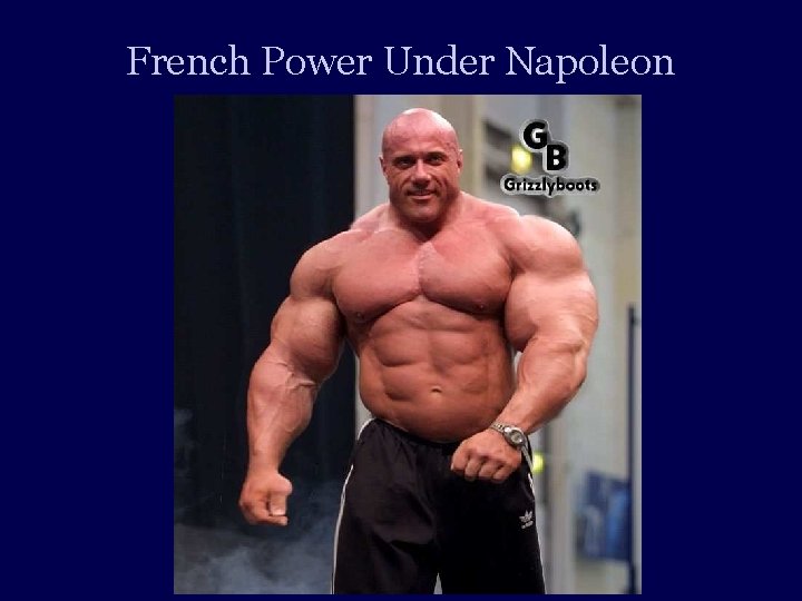 French Power Under Napoleon 