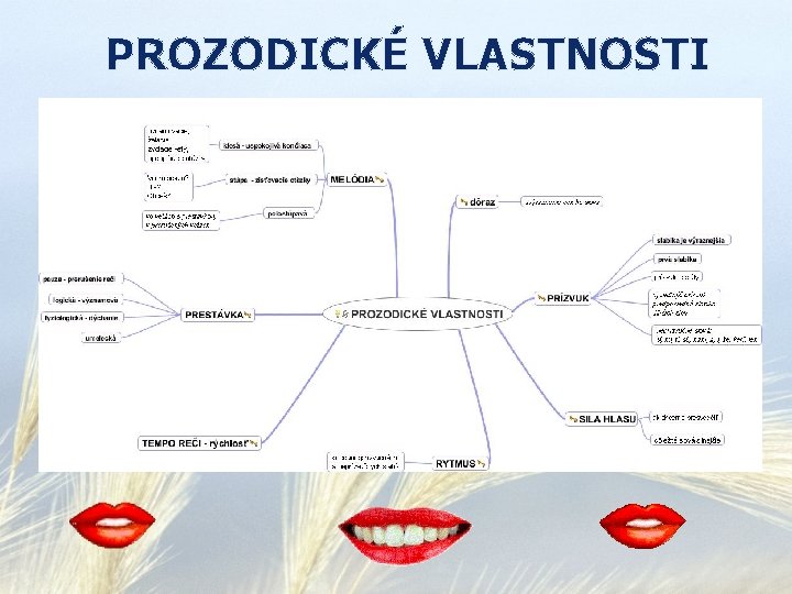 PROZODICKÉ VLASTNOSTI 