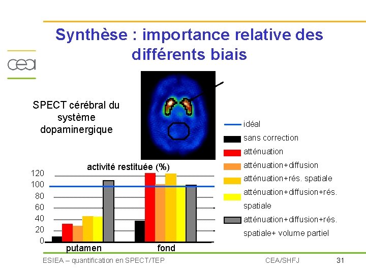 Synthèse : importance relative des différents biais SPECT cérébral du système dopaminergique idéal sans