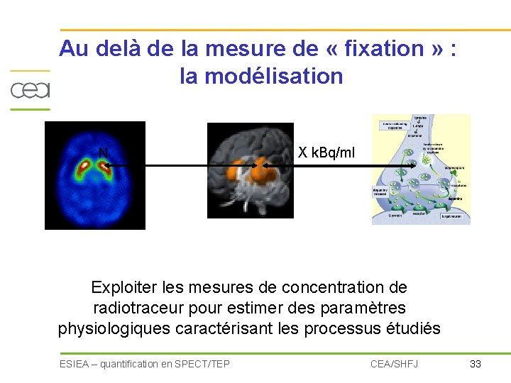 Au delà de la mesure de « fixation » : la modélisation N X