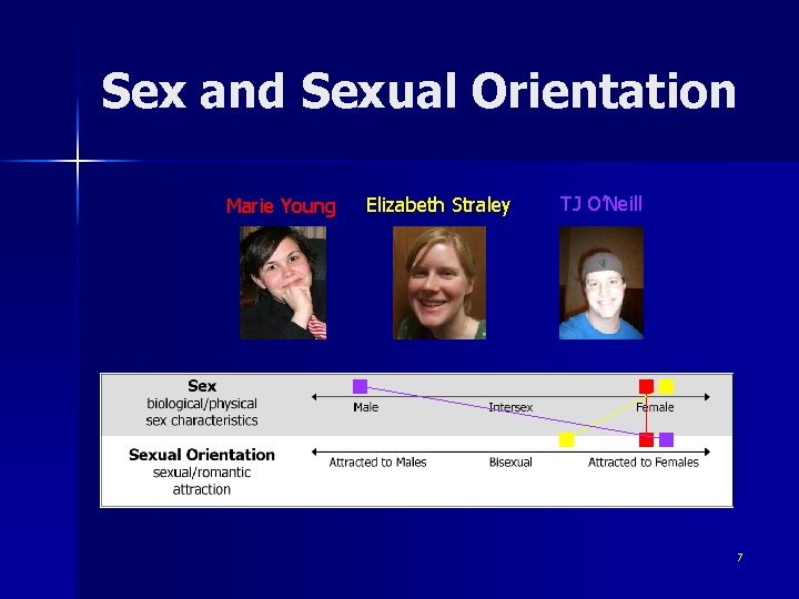 Sex and Sexual Orientation Marie Young Elizabeth Straley TJ O’Neill 7 