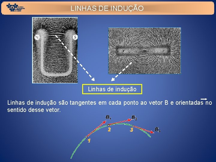 LINHAS DE INDUÇÃO Linhas de indução são tangentes em cada ponto ao vetor B