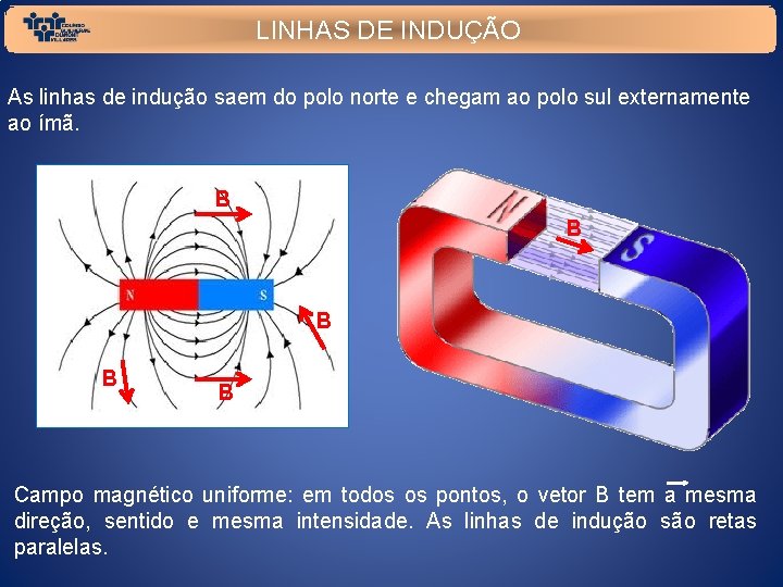 LINHAS DE INDUÇÃO As linhas de indução saem do polo norte e chegam ao