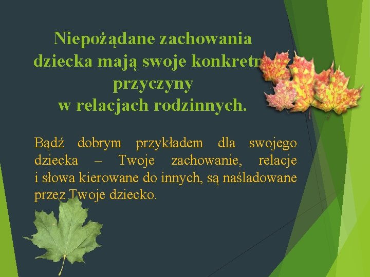 Niepożądane zachowania dziecka mają swoje konkretne przyczyny w relacjach rodzinnych. Bądź dobrym przykładem dla